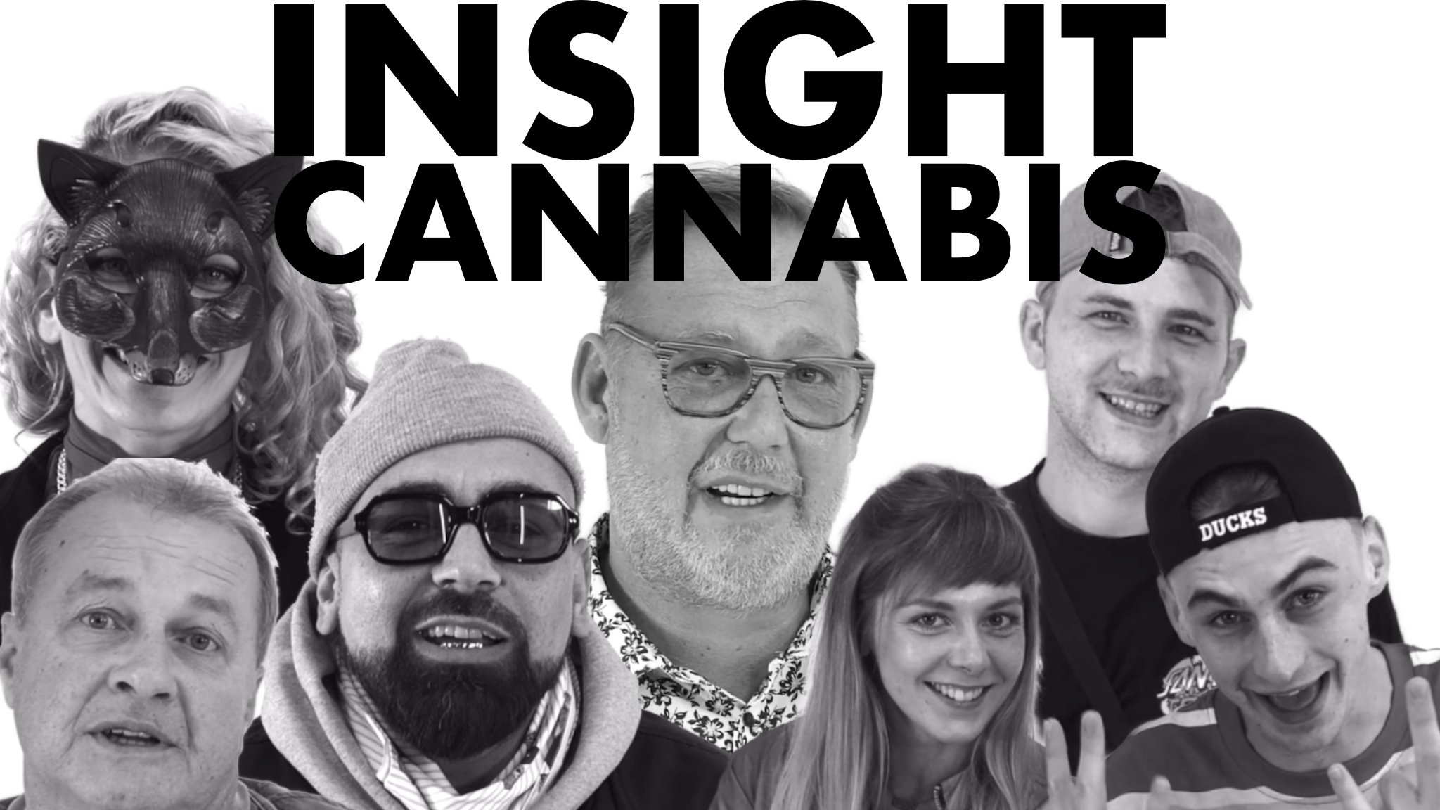 insight:CANNABIS